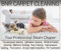 BnR Carpet Cleaning image 1